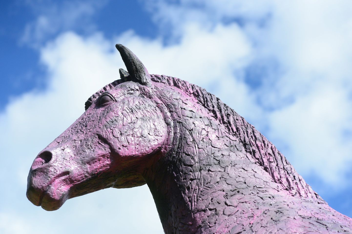 Haldusreformi ja poliitiliste võitluste ajal värvis keegi salaja lillaks asula pargis kõrguva hobuseskulptuuri.