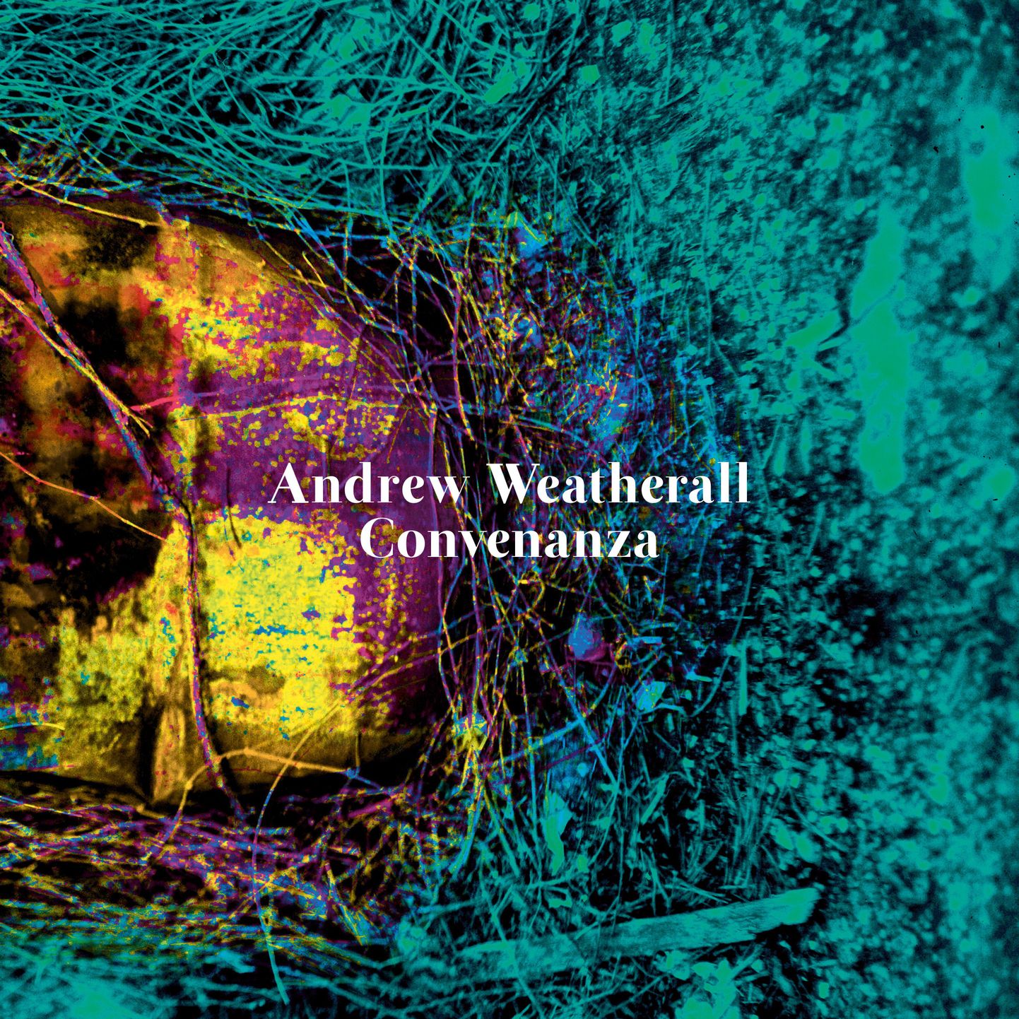 Andrew Weatherall- Convenanza