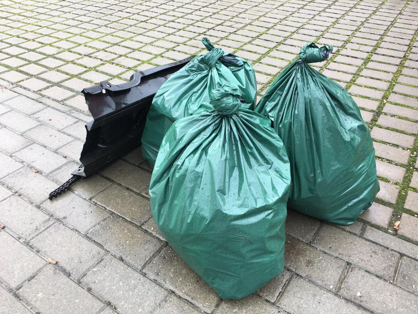 Pühapäevase plogging&#39;u tulemus Rakveres – kolm inimest korjasid pooleteise tunniga linna tänavatelt ära kolm kotti prügi ja kolmveerand kelku.