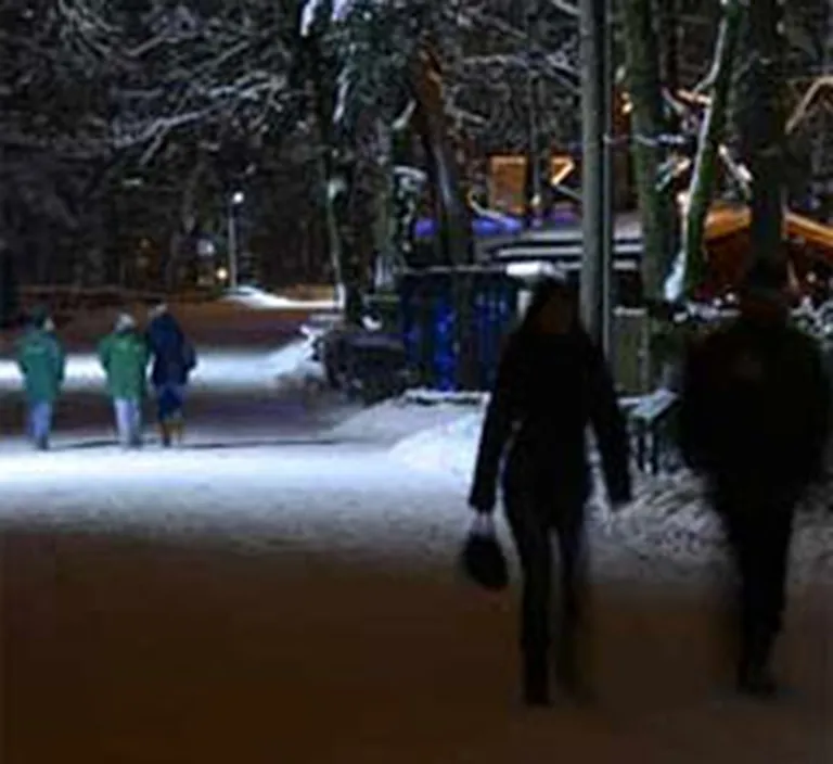 Raksta foto