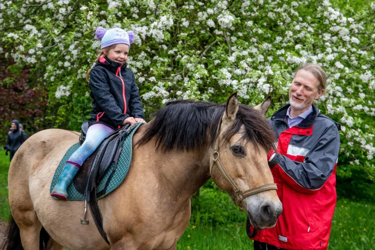 Maria talu peremehe Enn Ranna kirg on Eesti raskeveohobused, parajasti on vankri ees kuueaastane Veenus.