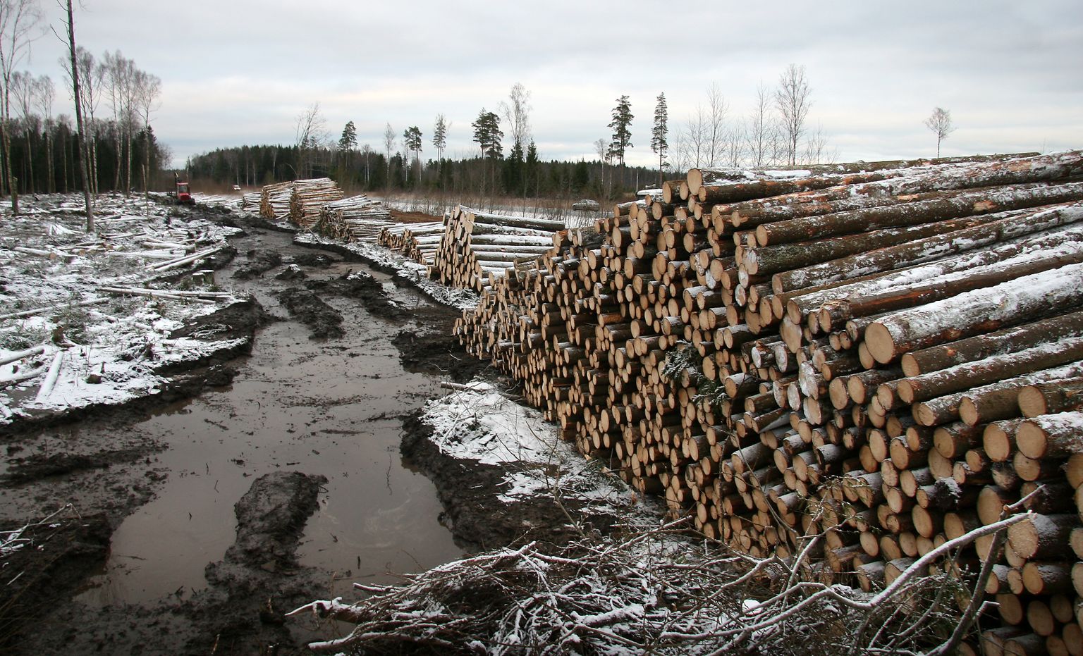 Tänavuse talve järel on metsateede taastamine tavapärasest kulukam.
