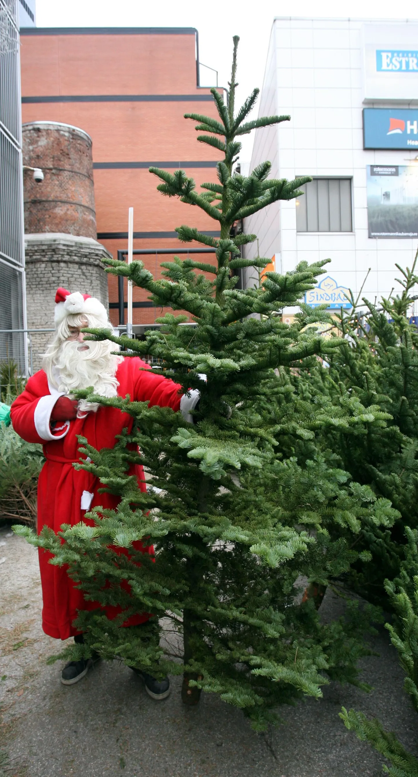 Nulge on Eestis juba mitu aastat müüdud.