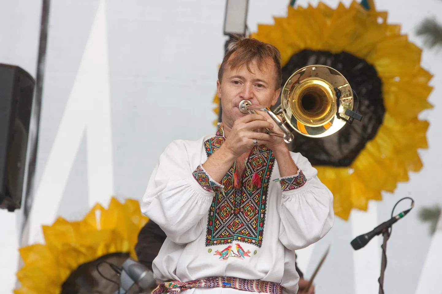 Ukraina päev Maardus