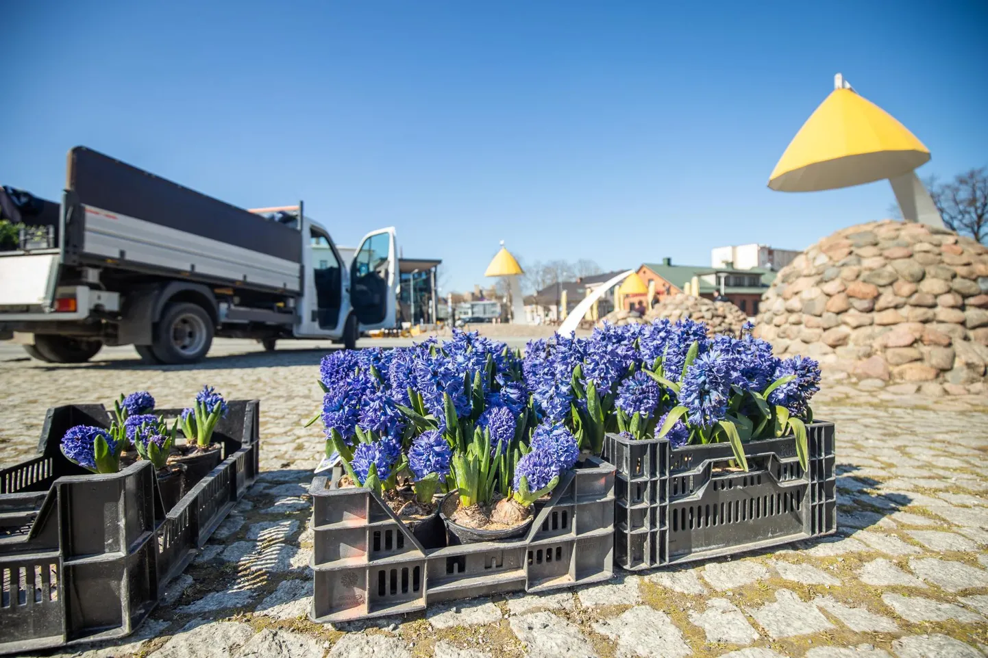 Turistide peibutamiseks istutatakse Rakvere Keskväljakule ja selle lähiümbrusesse lilli.