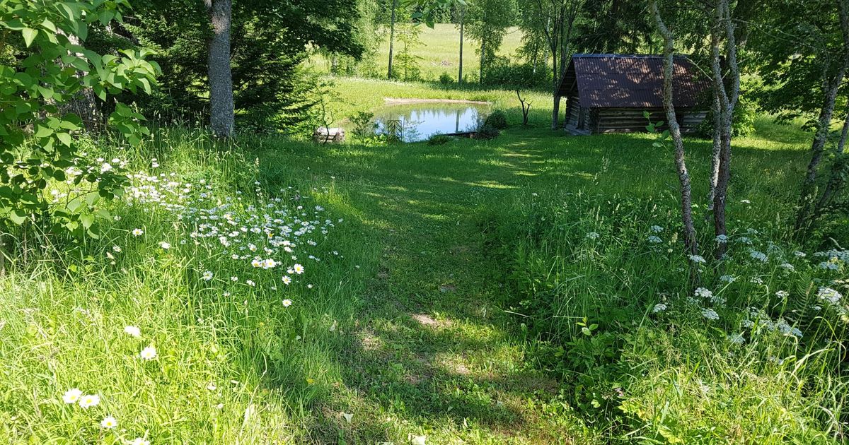 Kas riigiameti soovitus soosib puukide levikut?