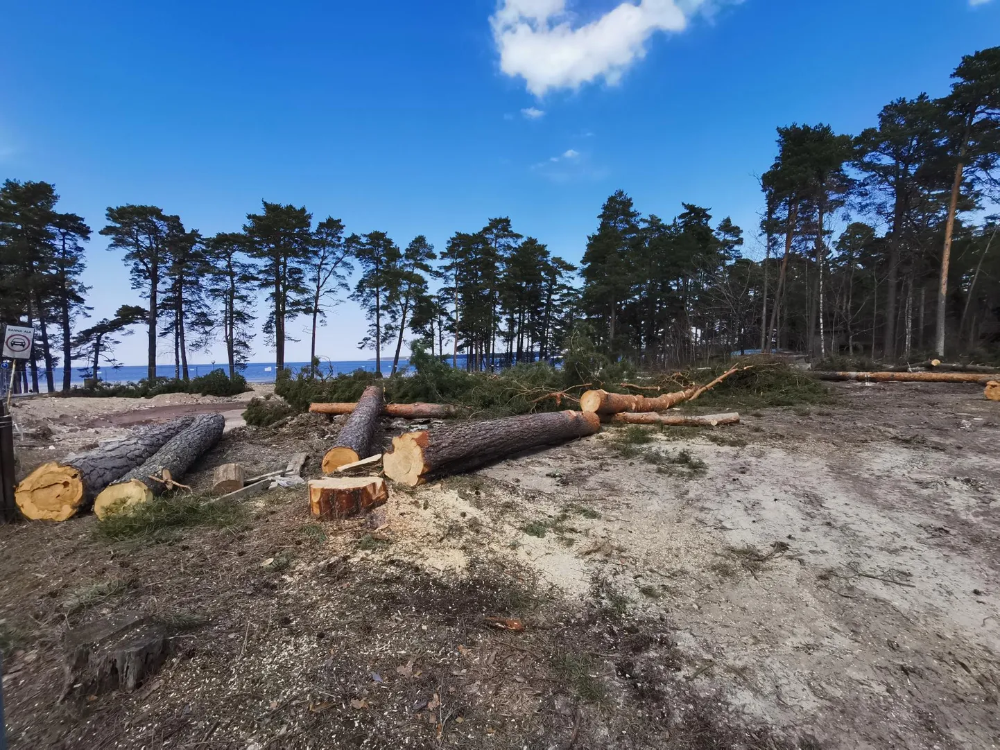 Nädal tagasi nägi Võsu Neptuni plats välja selline.