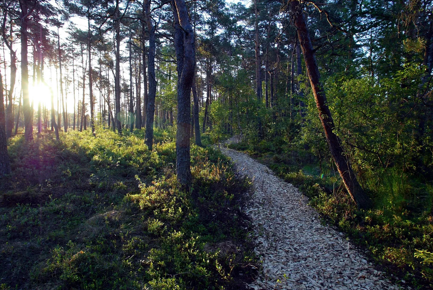 Öördi õpperada Viljandimaal