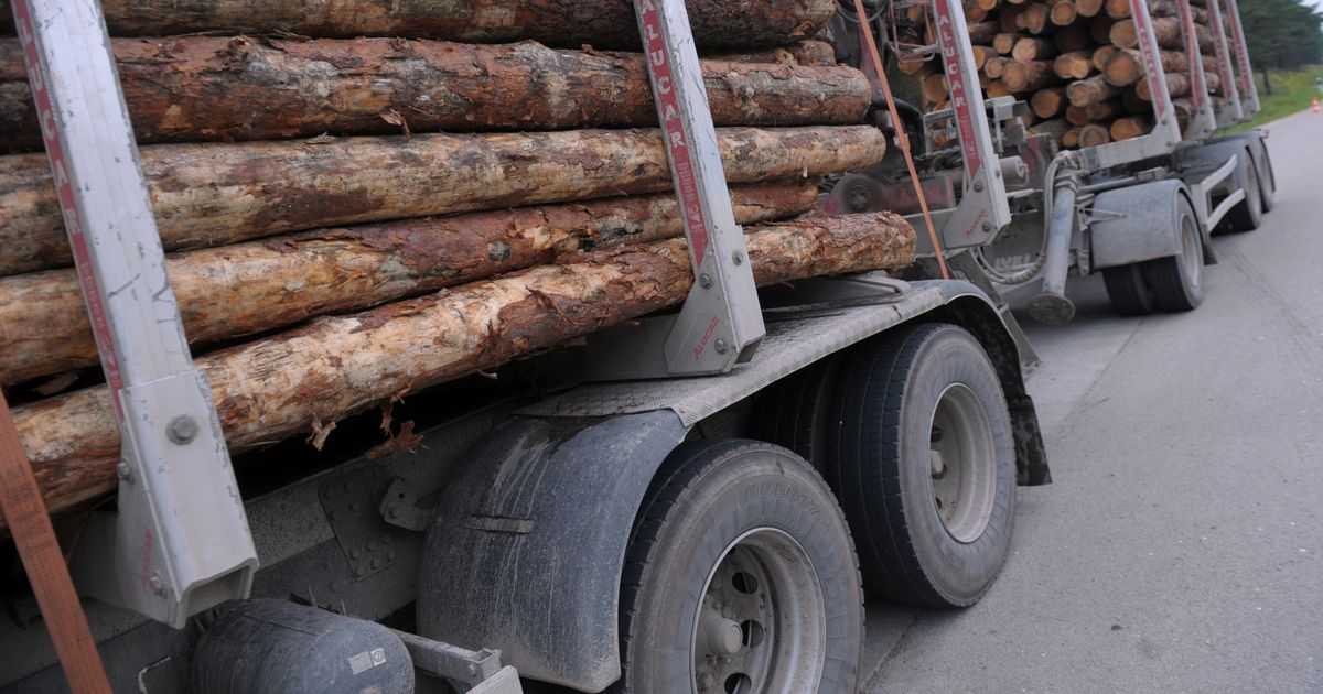 Экспорт лесной промышленности
