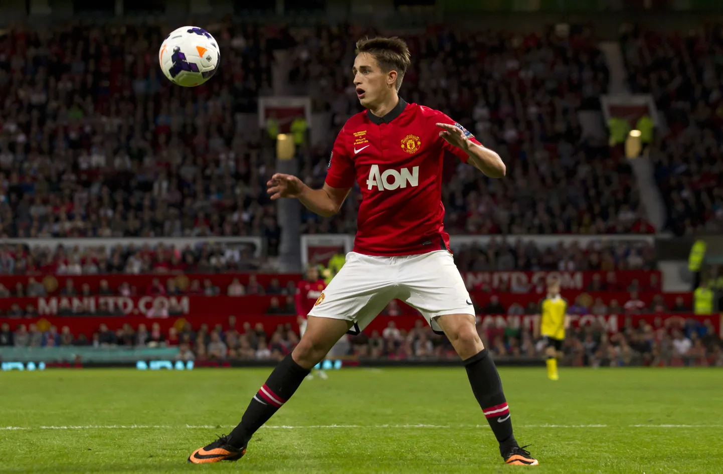 Adnan Januzaj.
