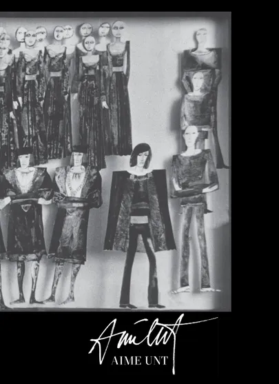 Raamat «Aime Unt».