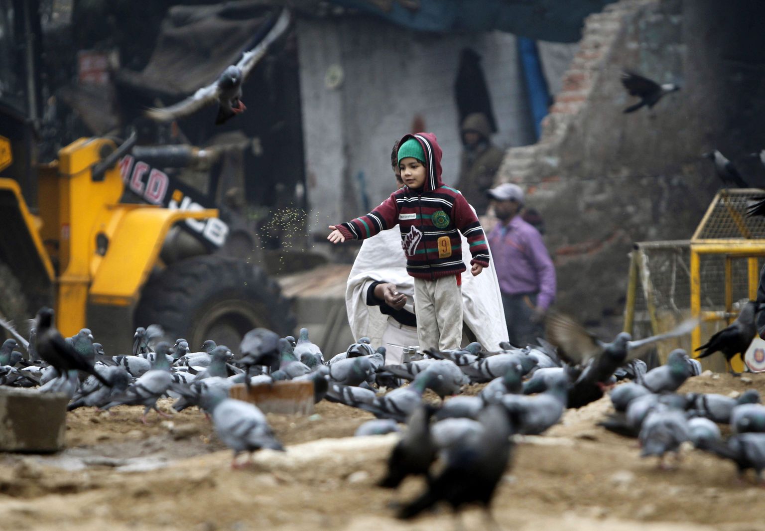 Indias tekkis 100 tuvi surma tõttu paanika