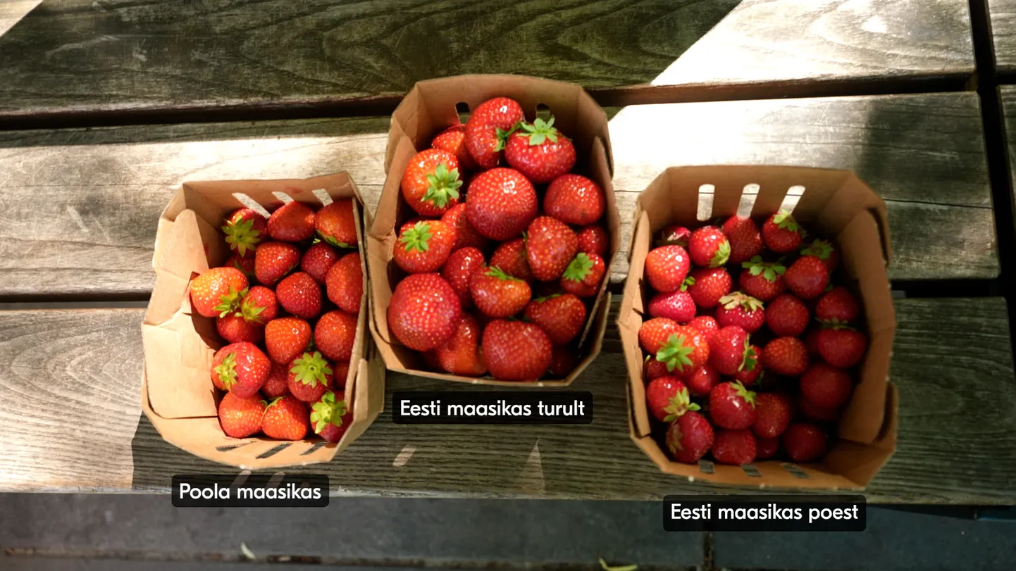 Poola maasikas, Eesti maasikas turult ja Eesti maasikas poest