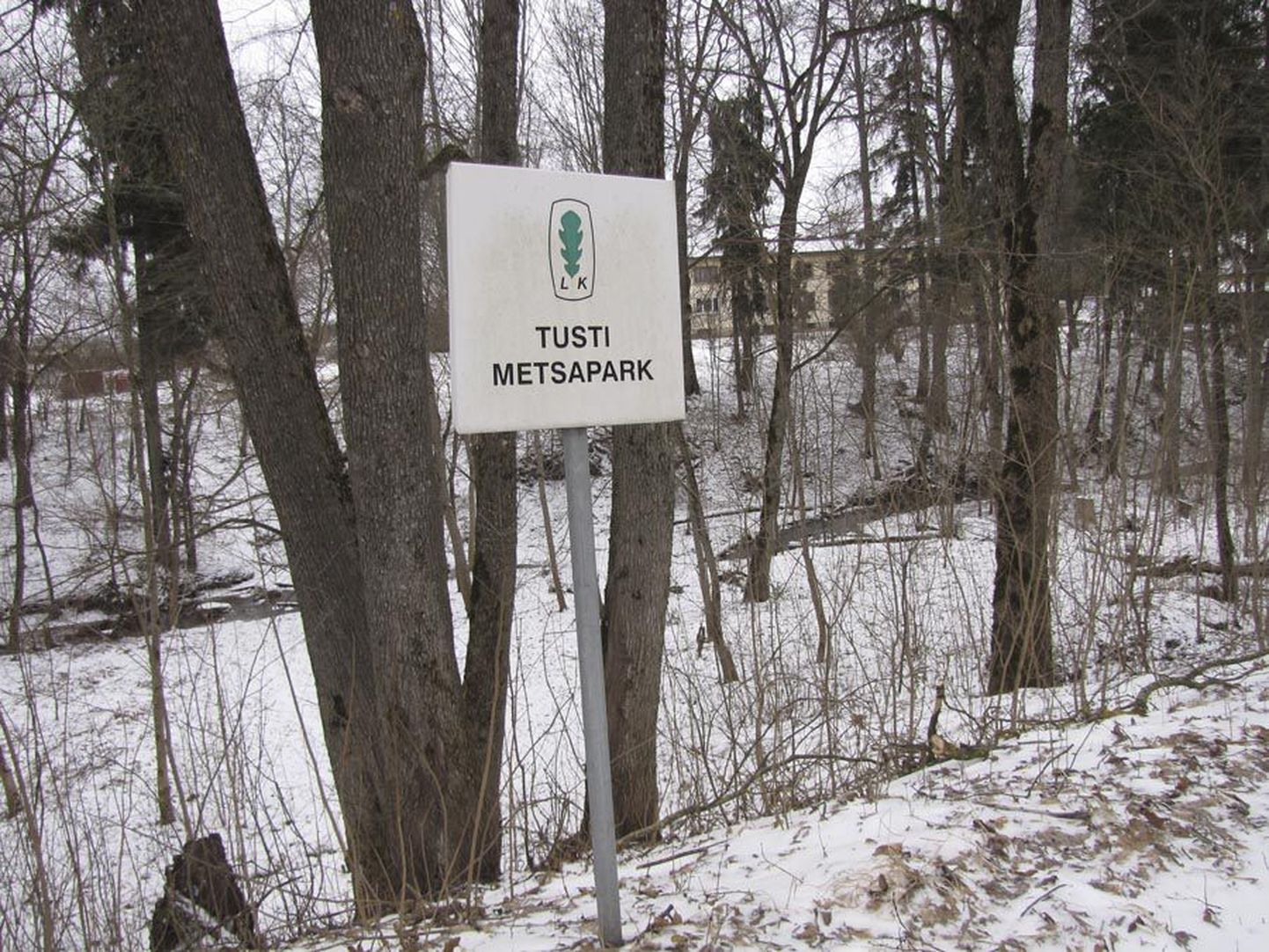 Looduskaitse all olev Tusti metsapark on üks neist, mille kohta keskkonnaamet Viljandi vallalt seisukohta küsis.