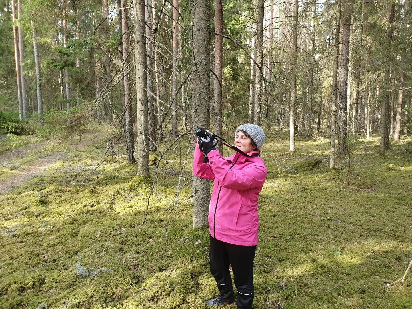 METSASÕBER: Loomulikult jätavad aastad jälje ning 75 on juba arvestatav number. “Käin oma jala peal metsas ja sõidan rattaga. Praegu on vorm selline, et ei tohi kurta,” sõnab Liia Hänni.