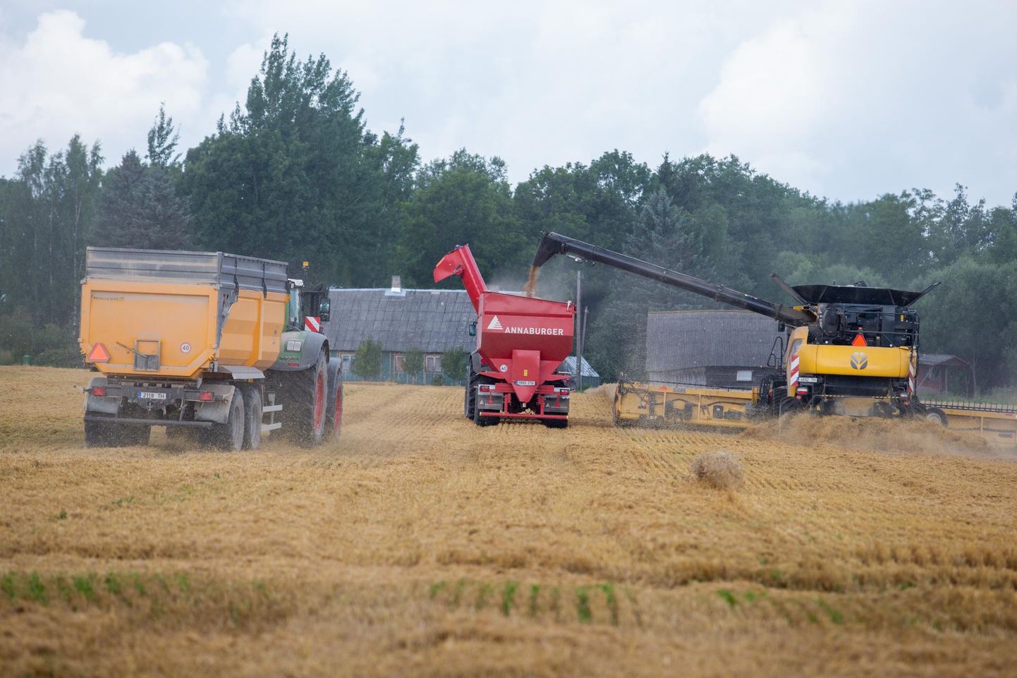 Põllumeeste avalduse järgi pärsiks limiitide kehtestamine Eesti põllumajandusettevõtete konkurentsivõimet.