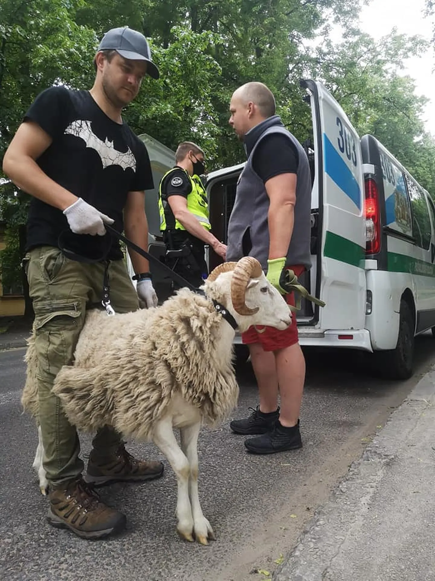 Raksta foto