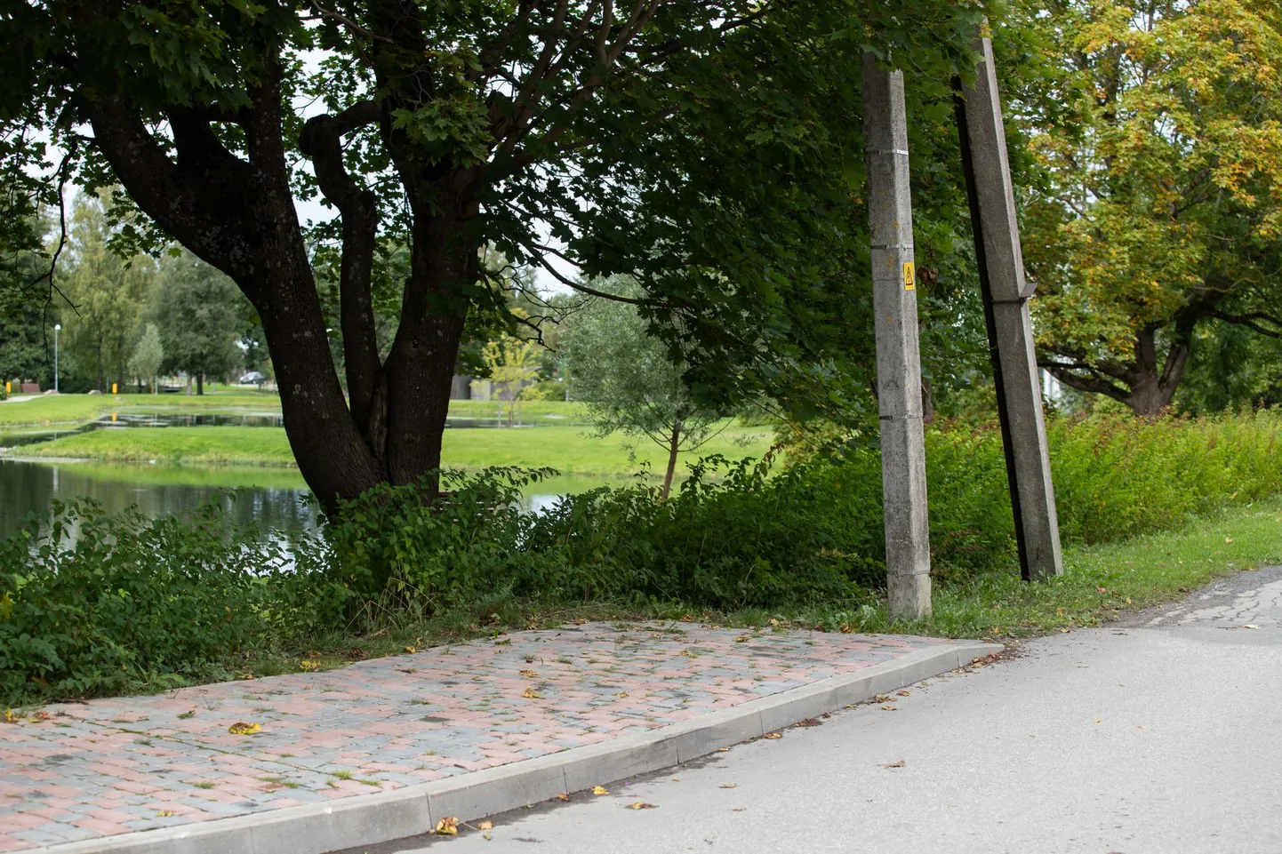 Rakvere linnas on üks kõnnitee, mis ei vii mitte lõpmatusse, vaid hoopis vastu tänavavalgustusposti. Ettevaatust pimeduses liikudes!