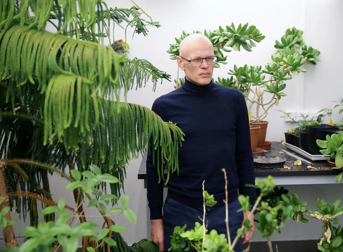 Eesti Maaülikooli taimefüsioloogia professor Ülo Niinemets.