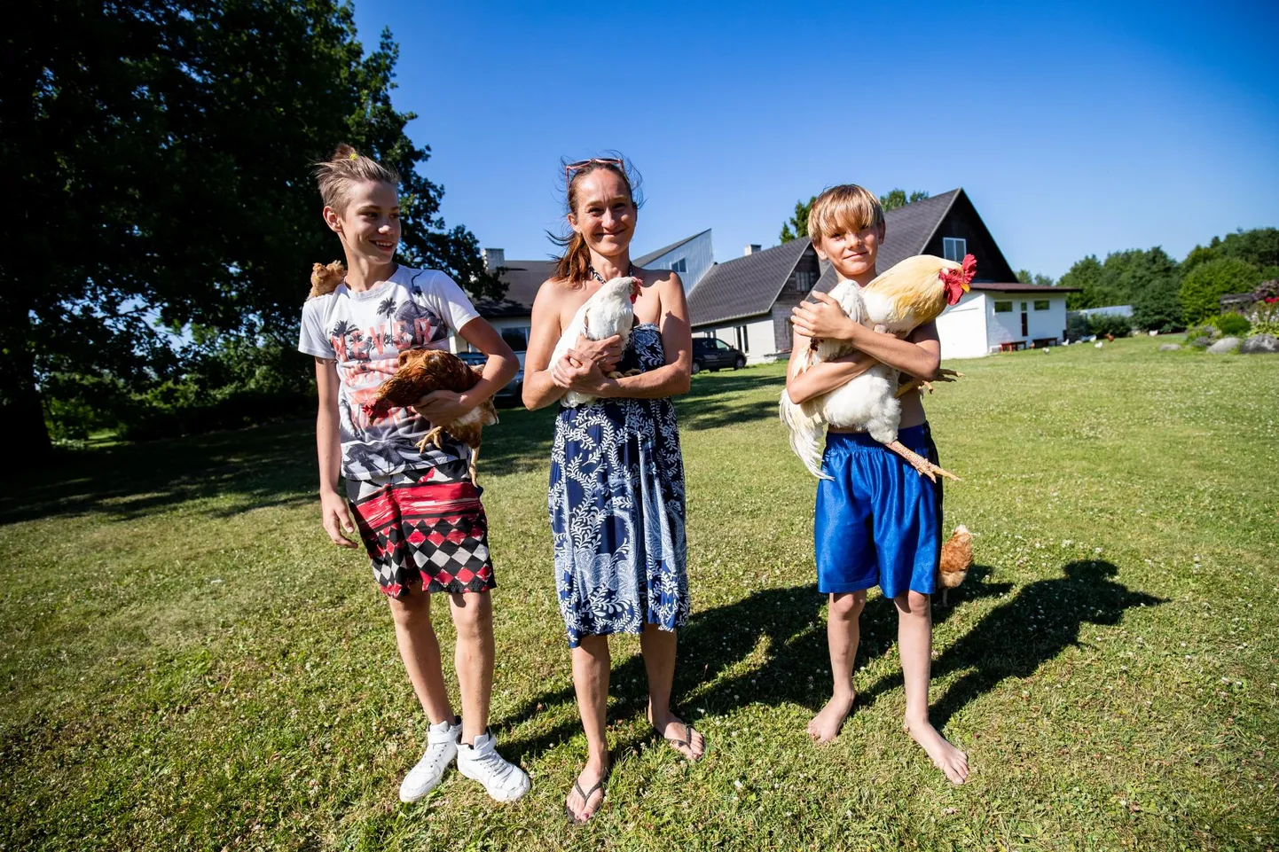 Uusremmelga talu pererahvas kanadega, keda nad peavad ühtaegu elatusallika ja lemmikloomadena.
