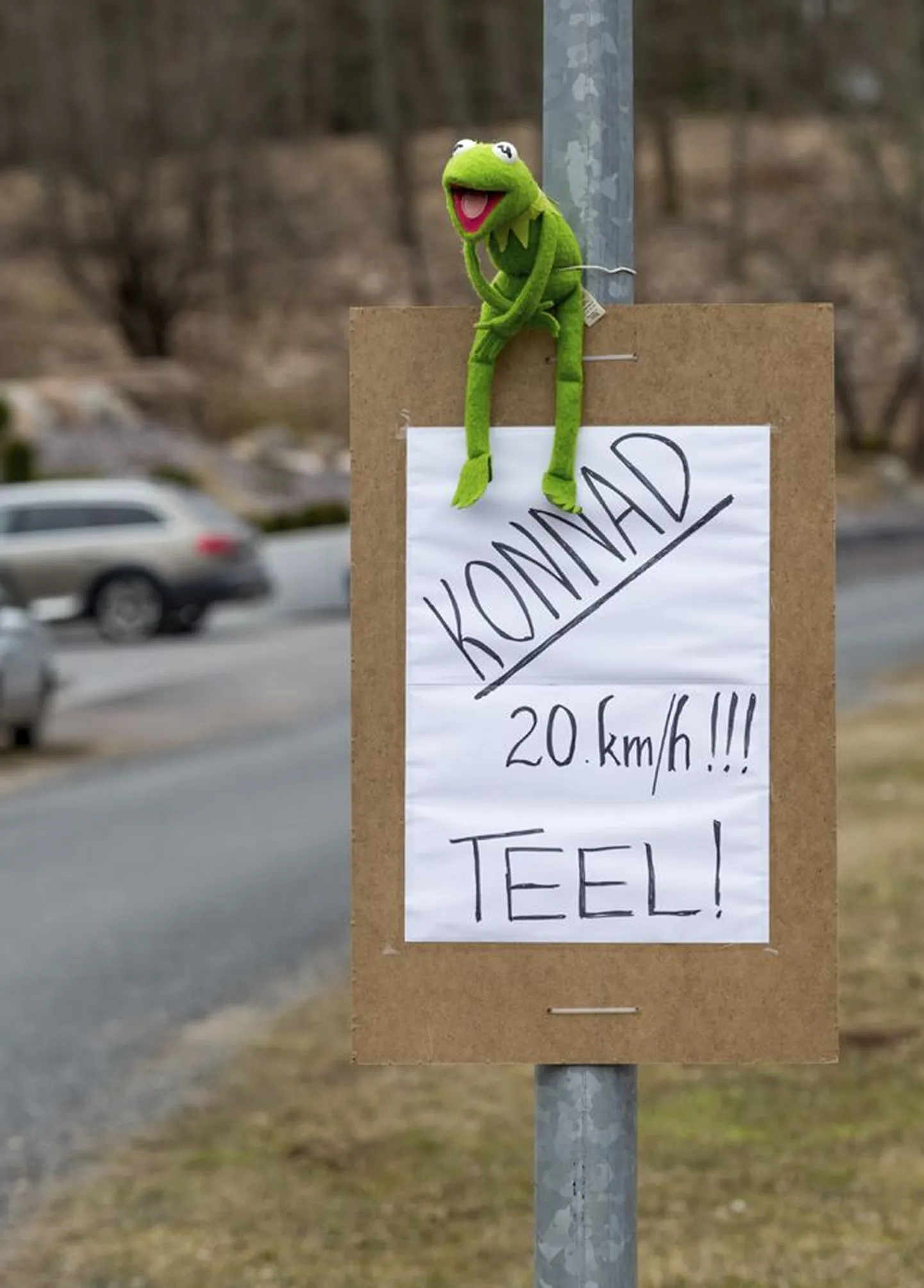 Maasika tänava elanikud pöördusid eile liiklejate poole omavalmistatud siltidega, millel nad palusid autojuhtidel kiirust maha võtta ja konnadele tähelepanu pöörata.