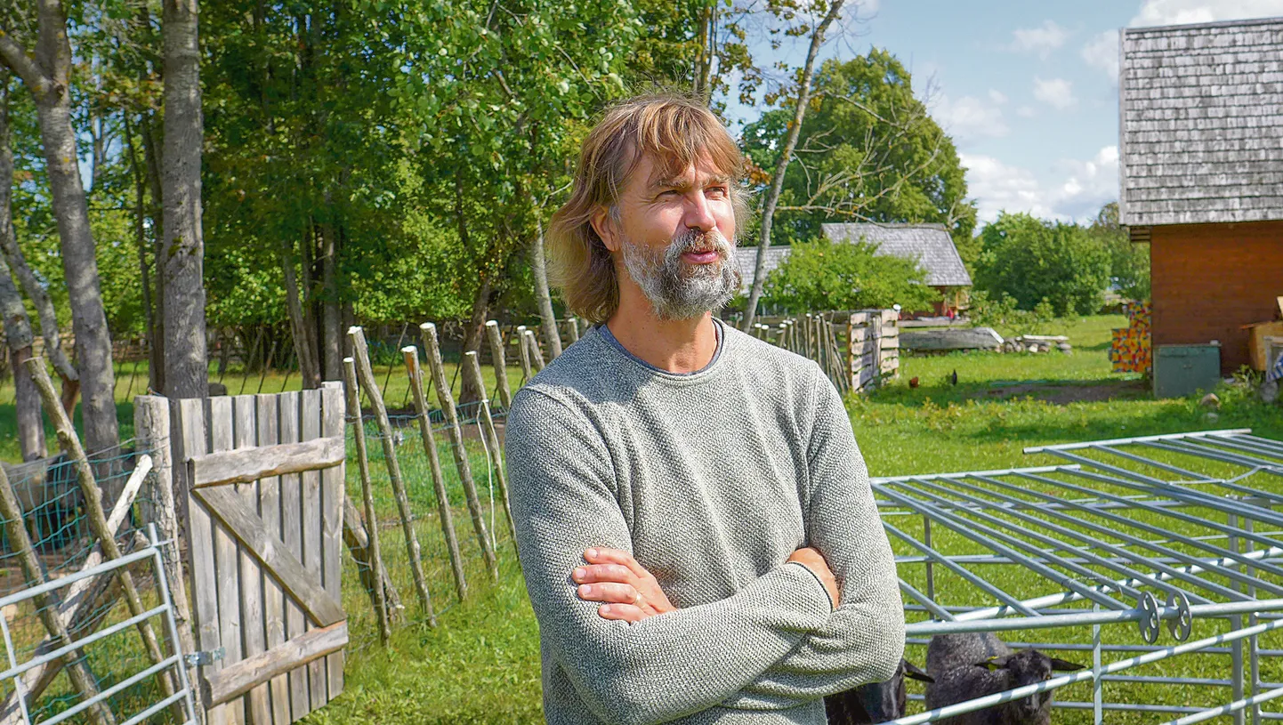 ENNEOLEMATU:  Madala kokkuostuhinna tõttu jääb enamus noori jäärasid sel aastal müümata.