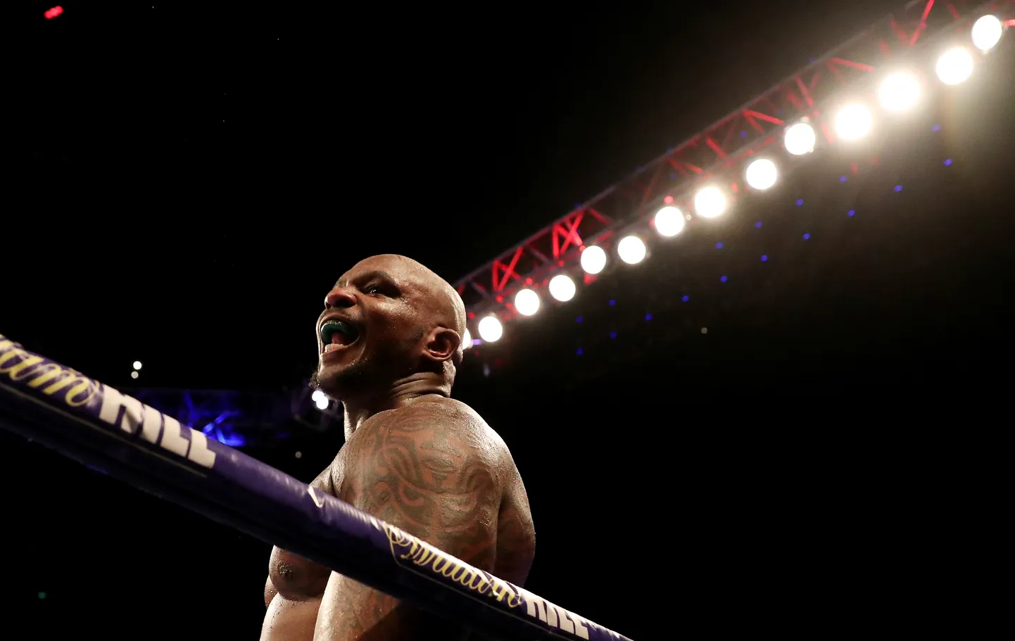 Dillian Whyte.
