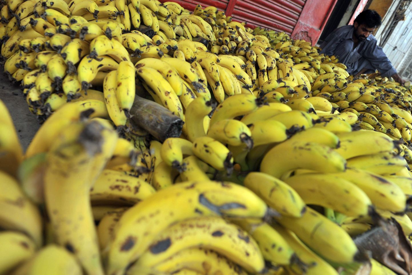 Petis ahvatles inimesi avalikult seksima, lubades neile selle eest suurt banaanisaaki