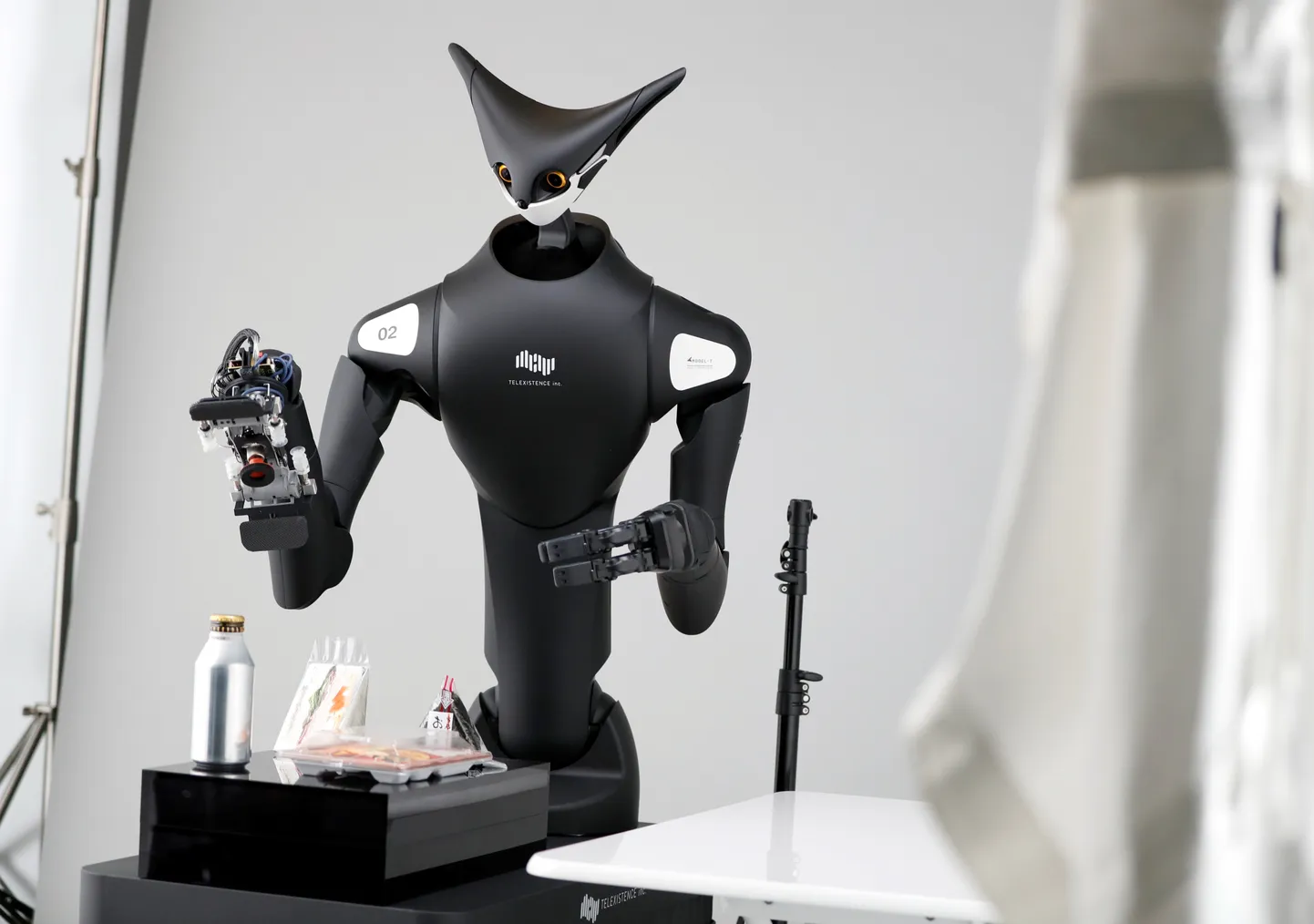 Robot
