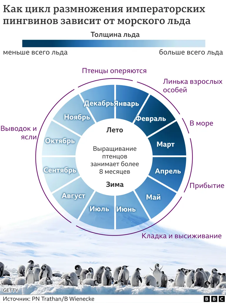 Фото статьи