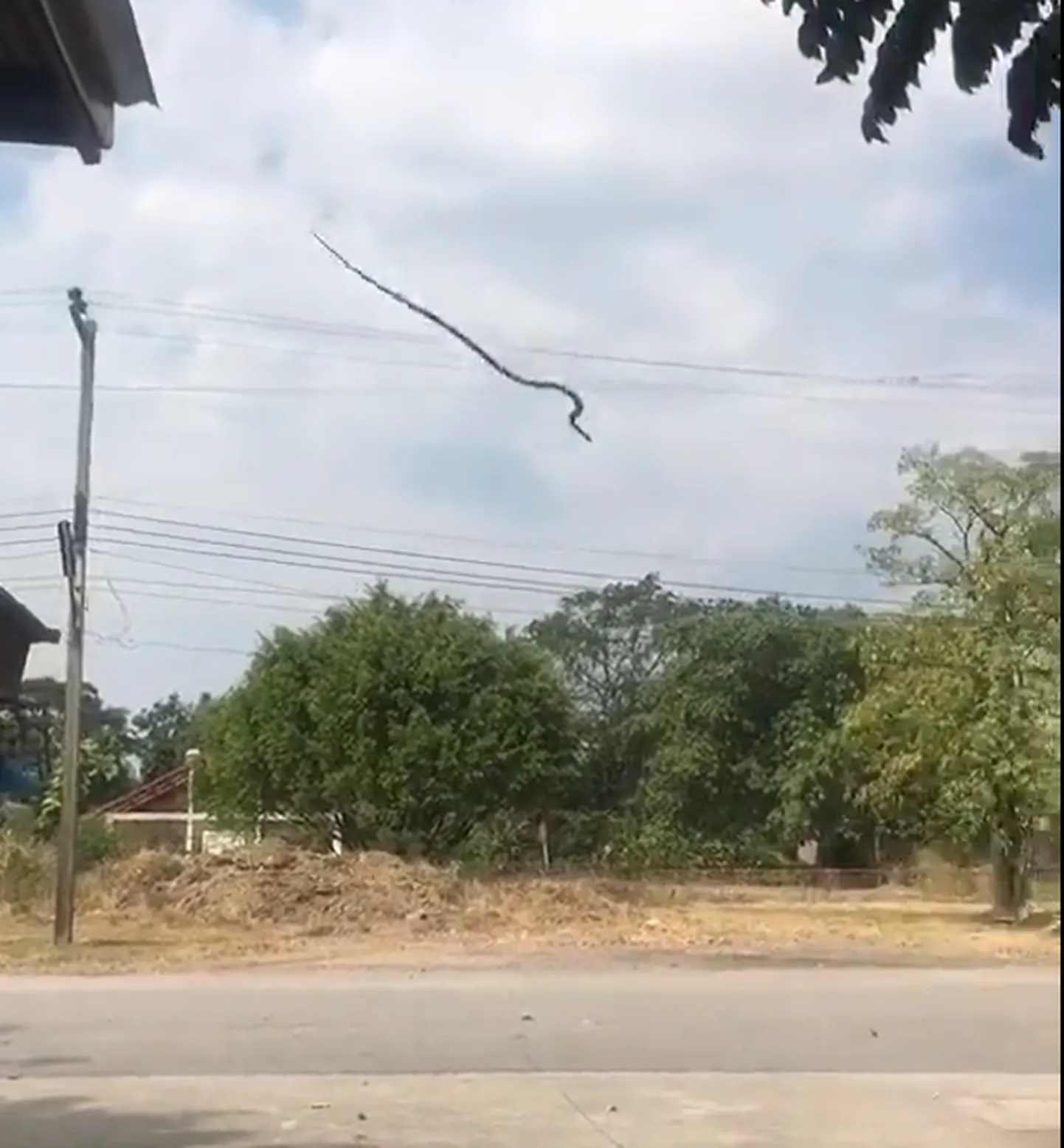 Фото статьи