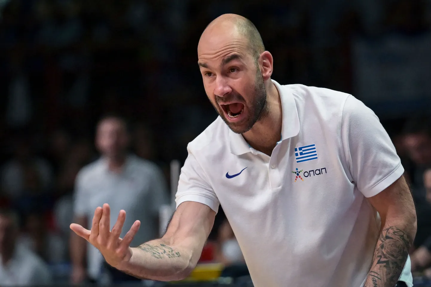 Vassilis Spanoulis.