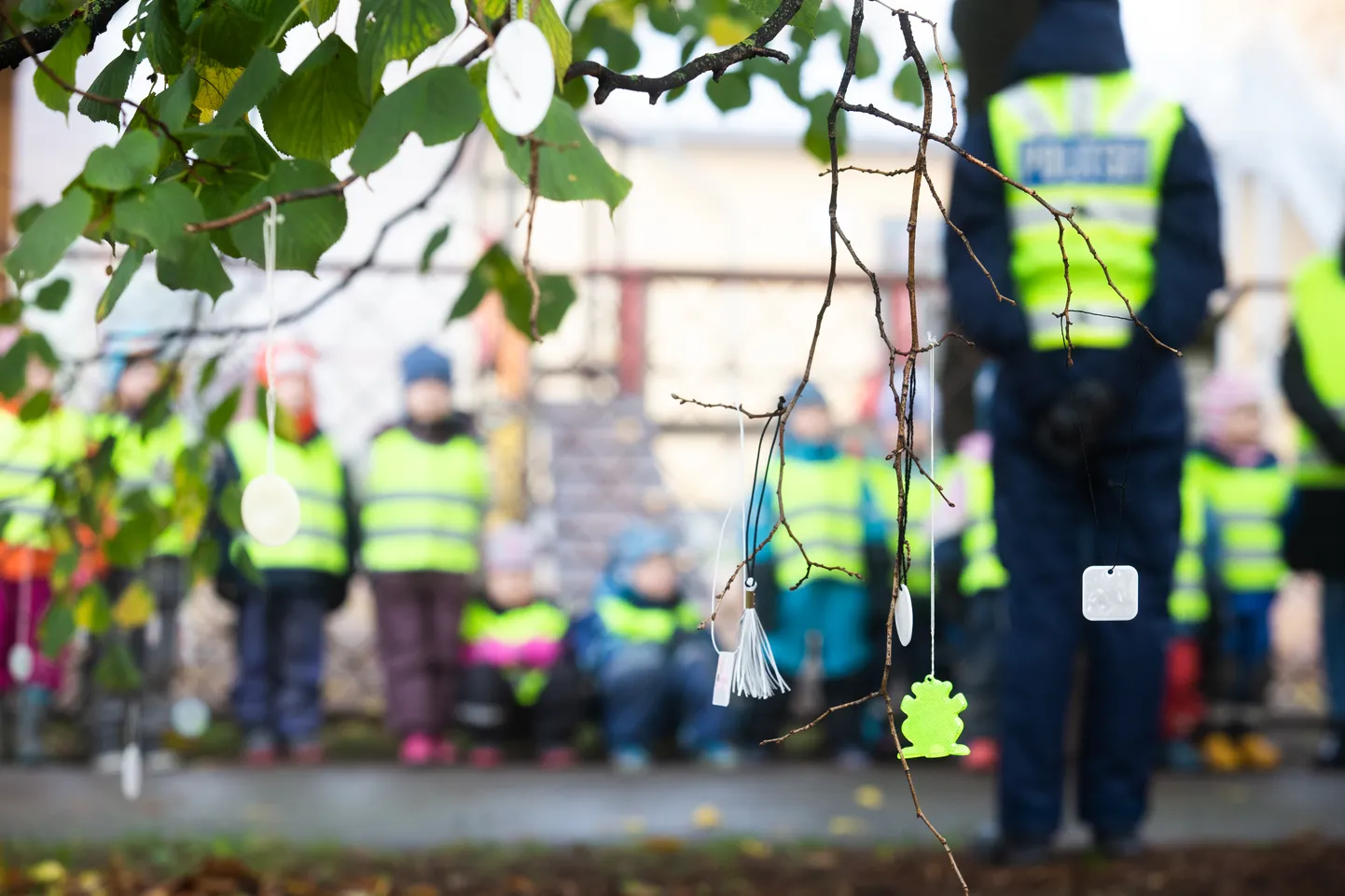 Tartu. Eesti.25OCT18- 
Täna hommikul riputasid Karoliine lasteaia lapsed on helkurpuule helkureid, et pimedal ajal liikuvatel jalakäijatel oleks hea mõni helkur endale napsata kui peaks avastama, et seda ei ole.
Foto: KRISTJAN TEEDEMA/TARTU POSTIMEES