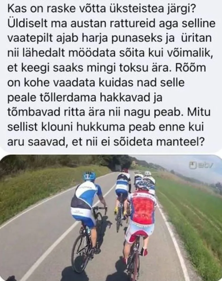 Artikli foto