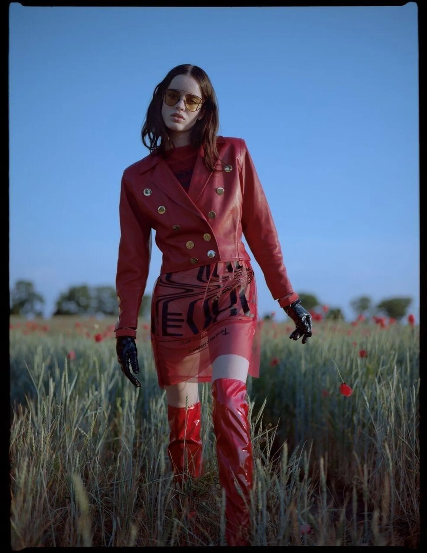 Schön Magazine.