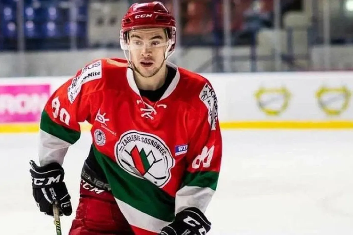 Максим Сергеев