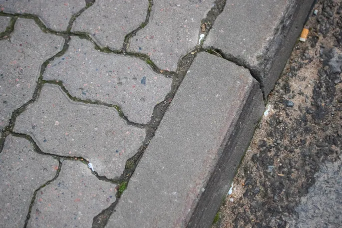 Eng katta odam jinsiy olatni