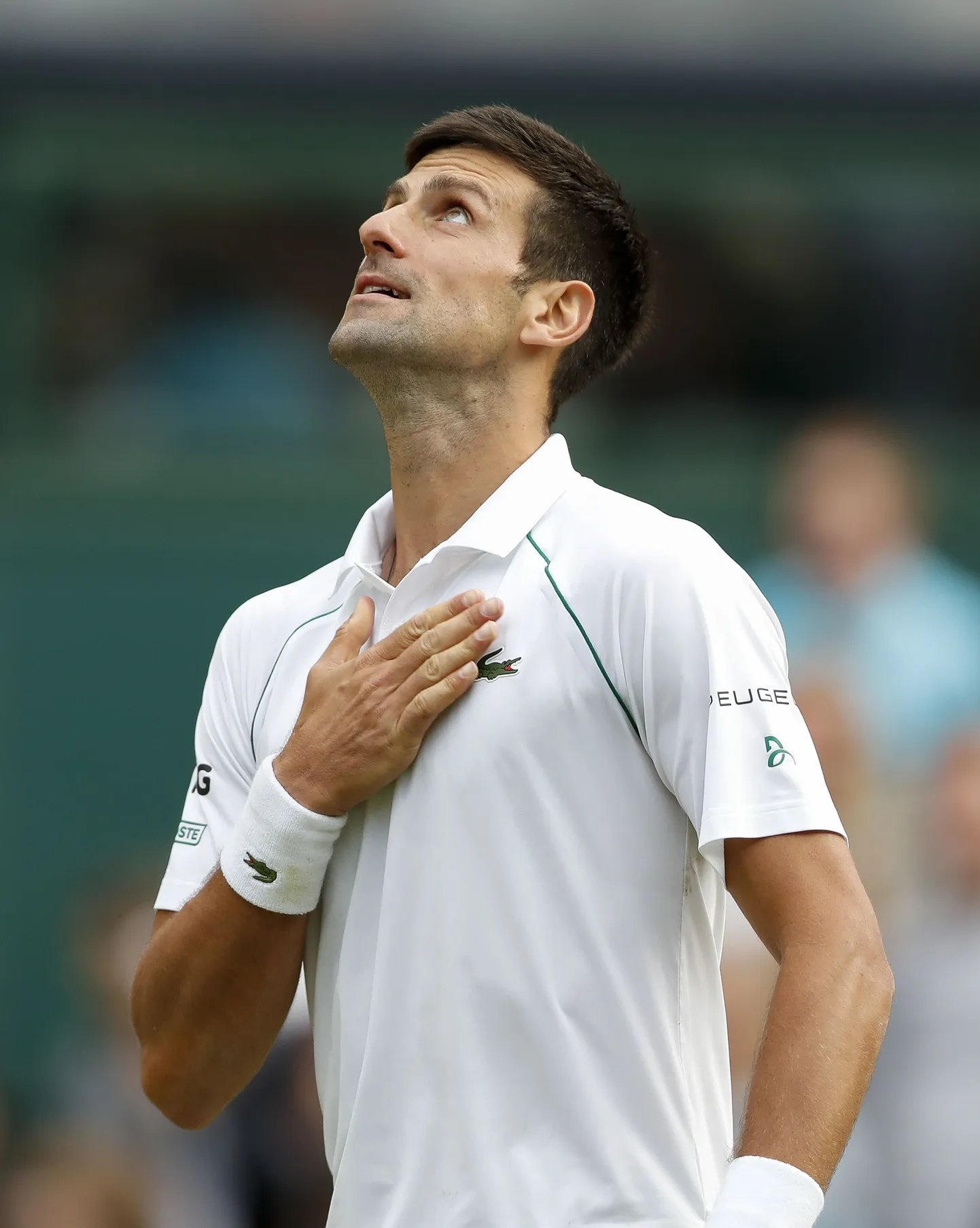 Novak Djokovic.