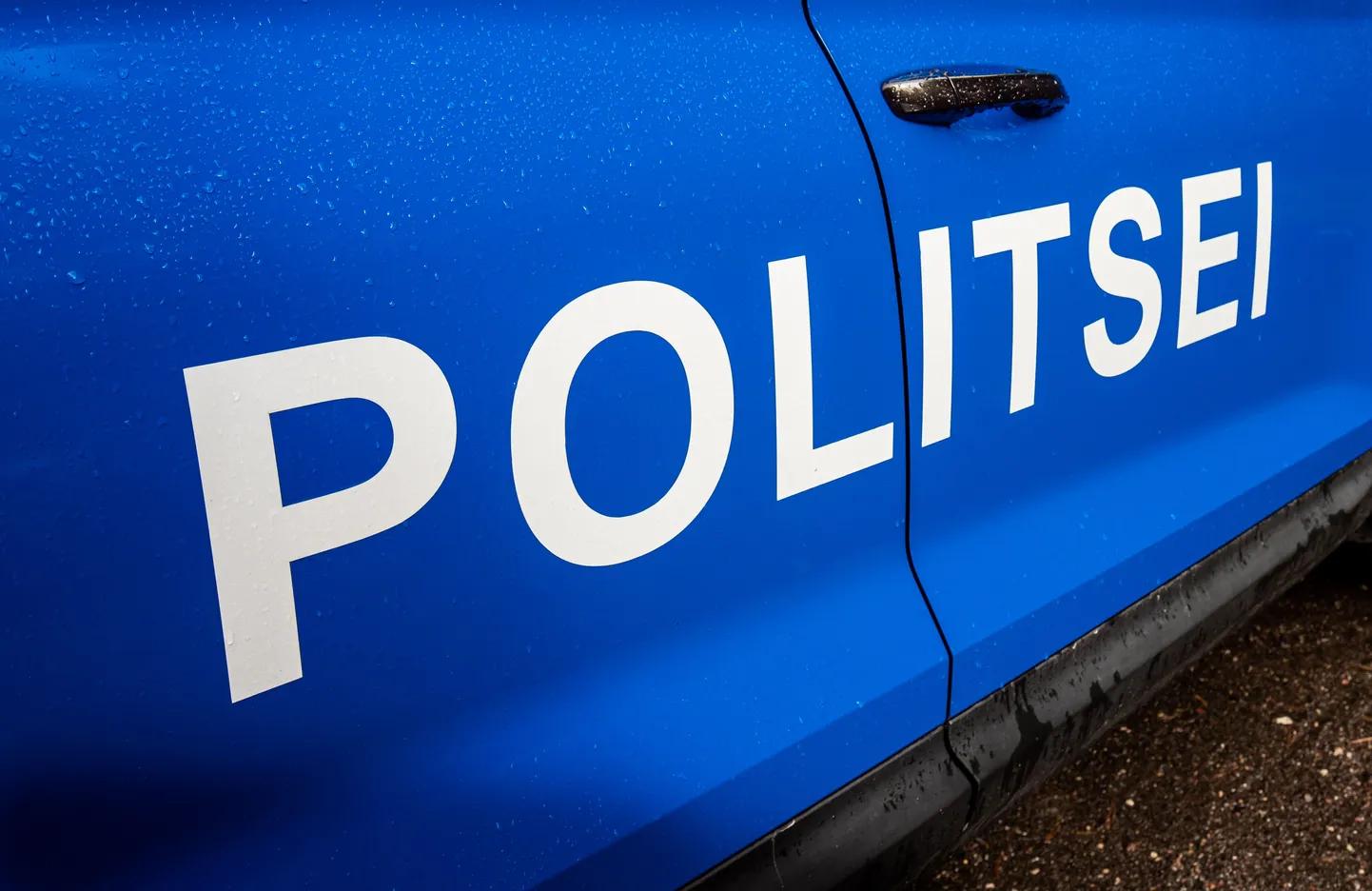 Jõgevamaal kadunud Emily pöördus ise tagasi Emajõe õppekeskusesse.