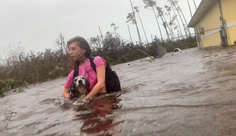 Bahamalanna Julia Aylen pidi koos koertega orkaan Doriani tõttu üleujutatud kodust lahkuma