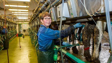 Vaidlus sundis meelt muutma: Saaremaa vald ei saa farmiarendust üldplaneeringu puudumisega tõkestada