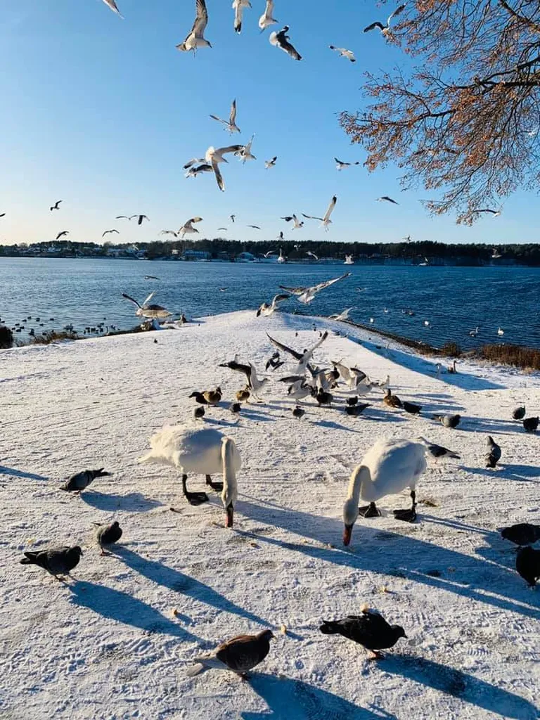 Фото статьи