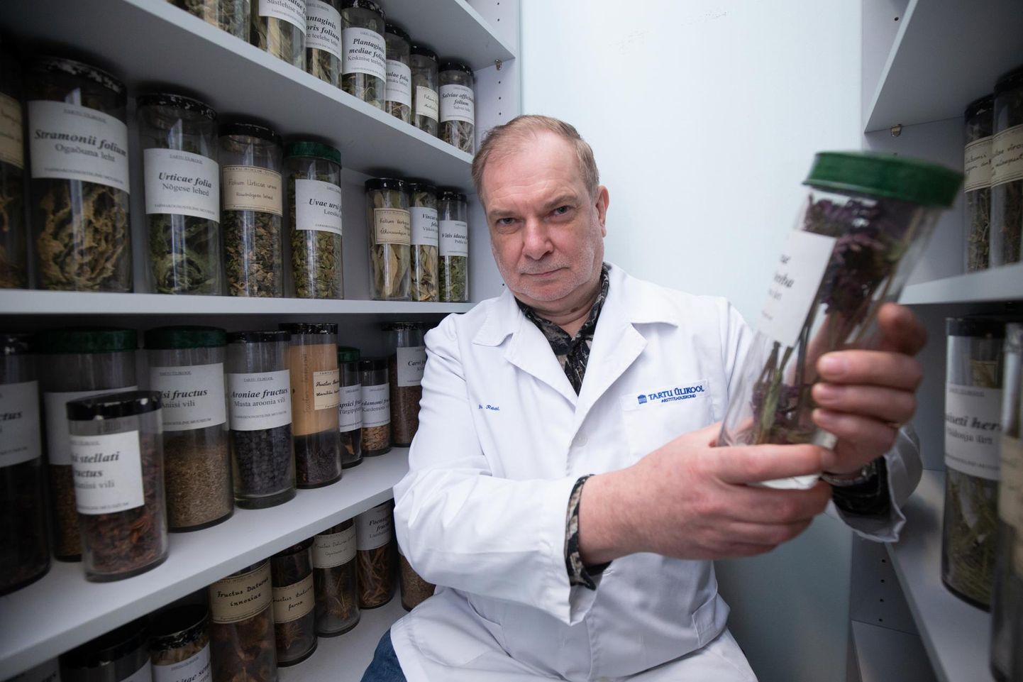 Professor Ain Raal tunneb hästi taimede mõju. Hoiab purki, milles kuivatatud purpur-siilkübar, ravimtaim, mille positiivne mõju immuunsüsteemile on teaduslikult hästi tõestatud.