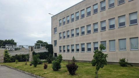 Eakad peavad Paides pidu