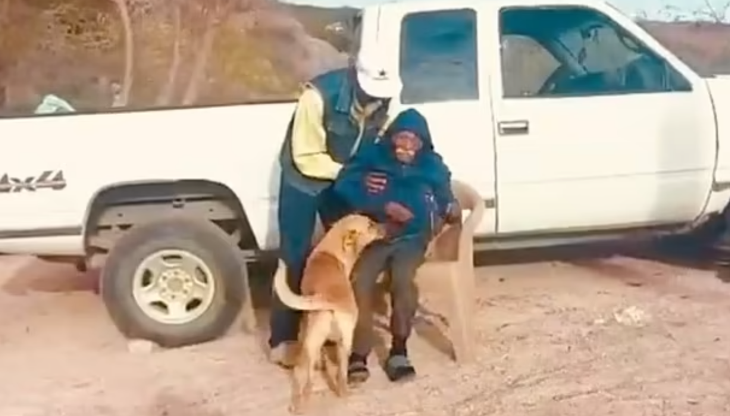 Koer juhatas päästjad oma eksinud peremeheni