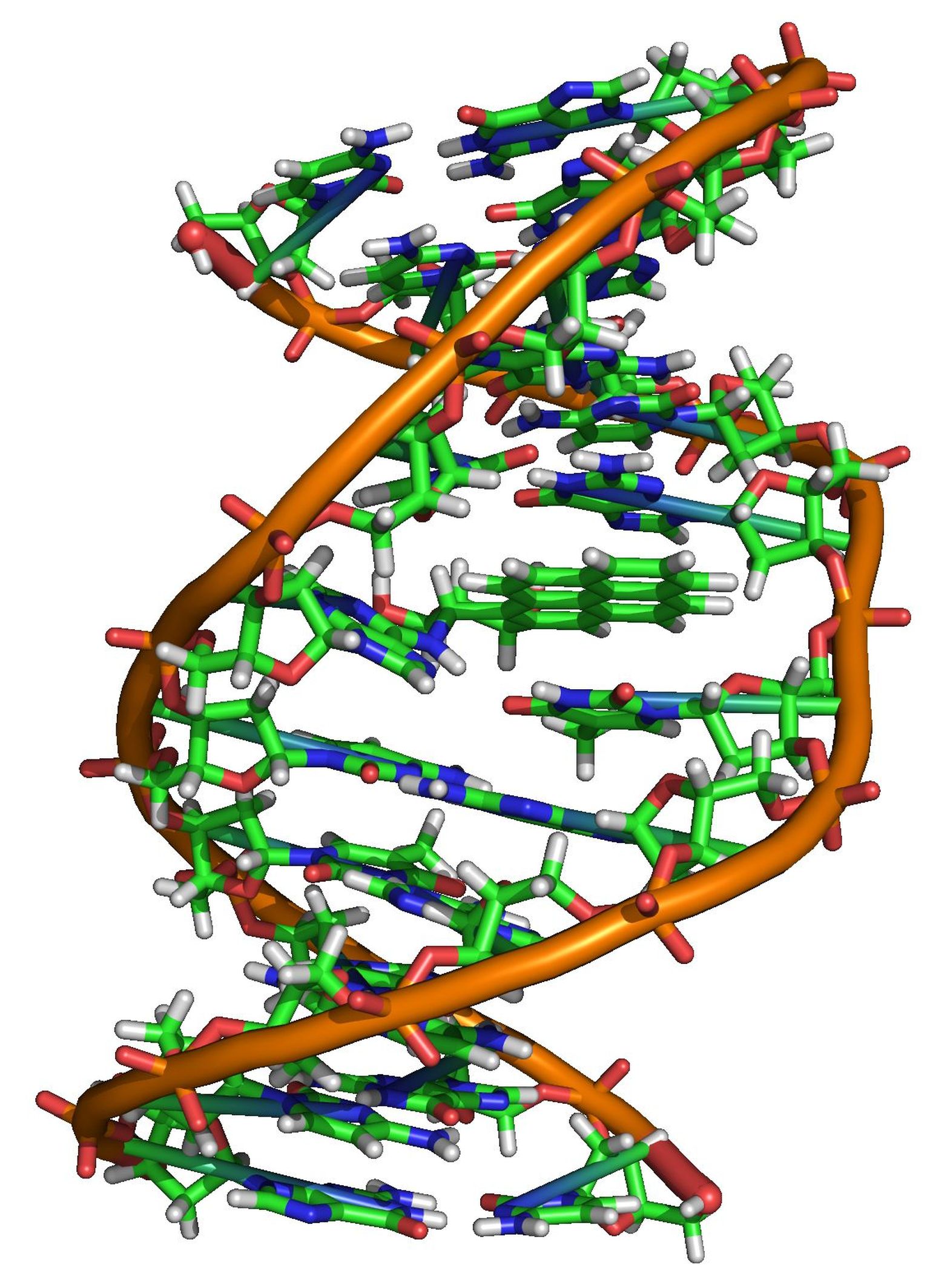 DNA struktuur.