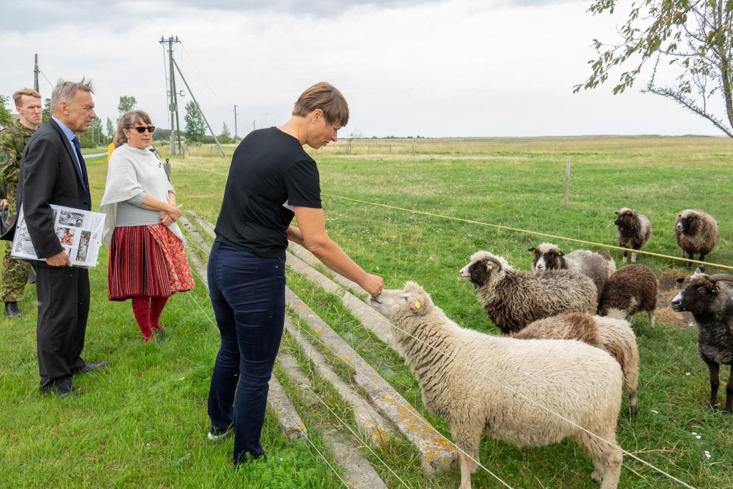 President Kersti Kaljulaidi huvitasid Manijal looduslikud muruniidukid: lambad rannakarjamaal koplis.