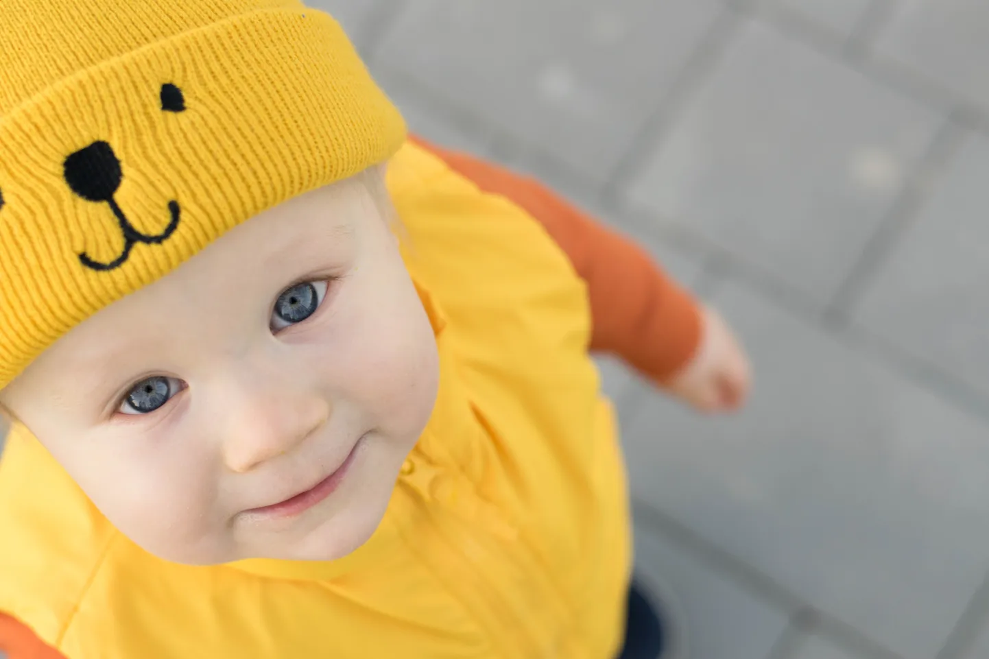 Raksta foto