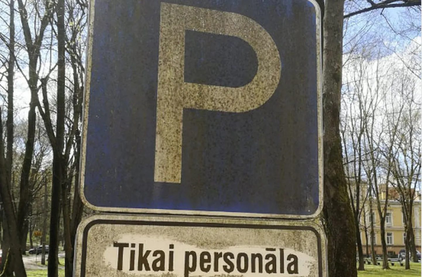 Raksta foto