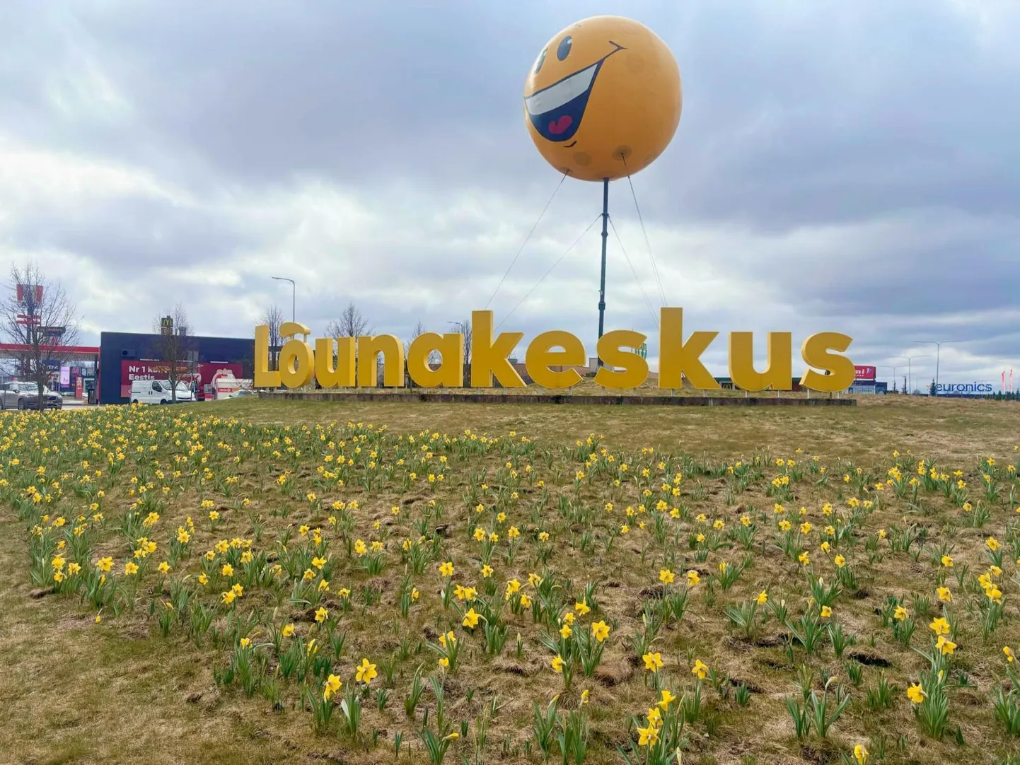Nartsissid Lõunakeskuse juures